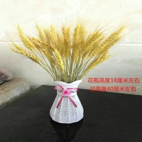 50 пшеница+1 ваза