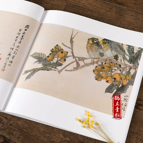 Китайская живопись Мастерская серия серии серии Ren Bonian Freehand Flower and Bird Painting Коллекция рисовать рисование китайская живопись коллекция художественных книг искусства книги и книги