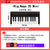 IRIG KEYS 2 MINI (Mini 25 Key Black)