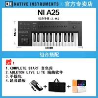 A25 25 Key+педаль+пианино сумка+подлинный источник звука программного обеспечения