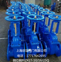 Shanghai Jinggong Copper Rod Copper Core FZ45T-16 Shanghai Gong Protective Concealed Rod Gate Valve Z41T Rising Rod Gate Valve DN100