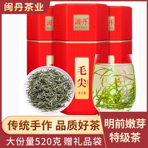 Min Dan authentic Maojian green tea 2021 spring tea new tea before the bright bud thick flavor canned 520g