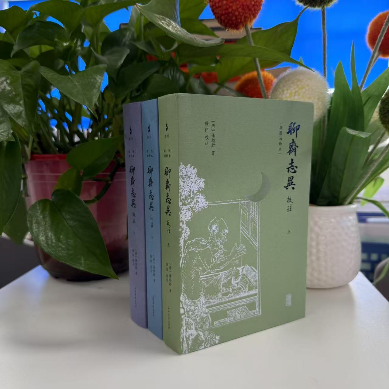 新書】聊齋志異校注·插圖袖珍本（全三冊）9787573215048上海古籍-淘寶