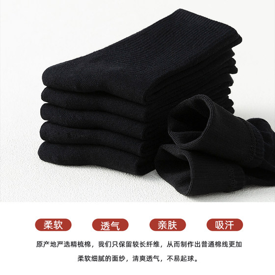 Black socks for women with small leather shoes for summer long non-cotton trendy spring and autumn women's mid-calf socks pile socks loafers