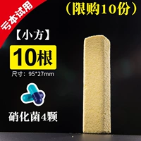 Испытание в потере [маленькие квадратные/10 корней] +4 нитрифицирующие бактерии (ограничены 10 экземплярами)