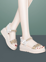 Sports sandals womens ins trend 2022 new summer thick-soled flat-bottomed wedge heel outerwear fashion all-match Velcro