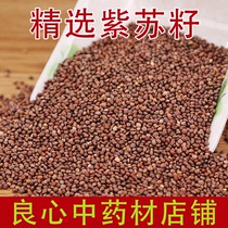 Purple Suzi Chinese Herbal Medicine 500g Suzi Chinese Herbal Medicine SuMassachusetts Purple Spicy Purple Suzu Seeds Raw Crisp to Eat Fried Cooked