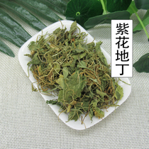500g Purple Flower Dentine Purple Tinged Grass Arrowhead Plow head Grass Chinese herbal medicine Wild Light Petal Cordiaver Grass 