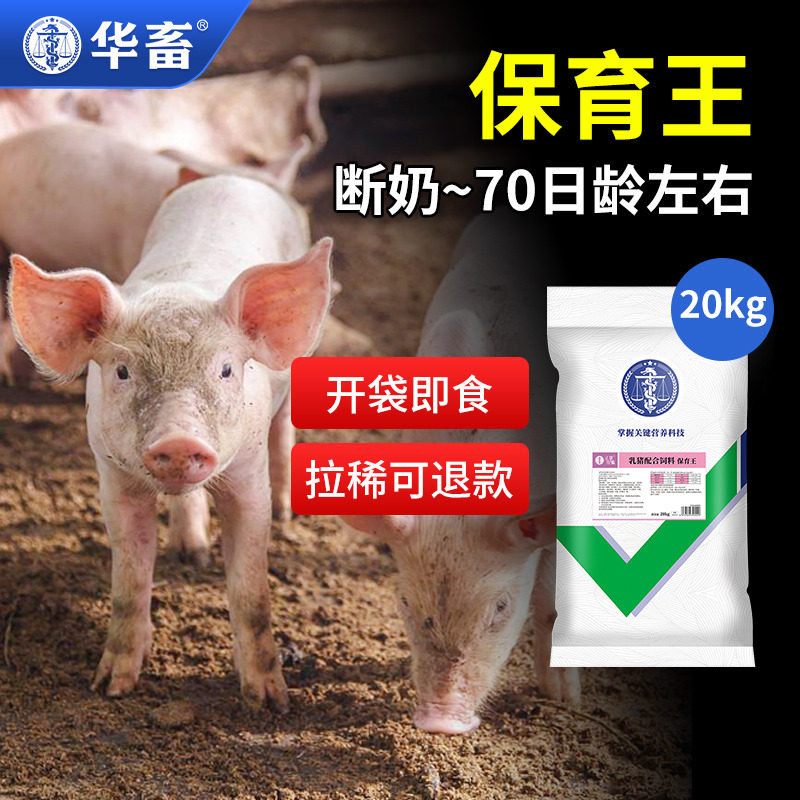 华畜兽用仔猪保育王小猪促生长促消化吸收防拉稀腹泻赖氨酸盐饲料