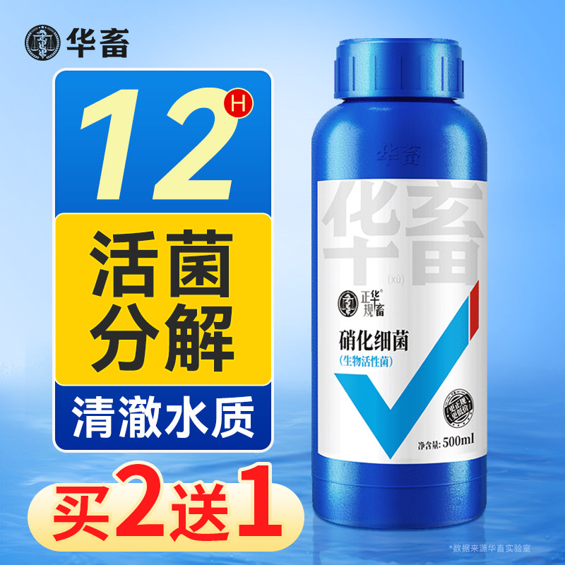 【U先试用】华畜硝化细菌鱼缸用净水剂养鱼净化水质稳定分解鱼粪