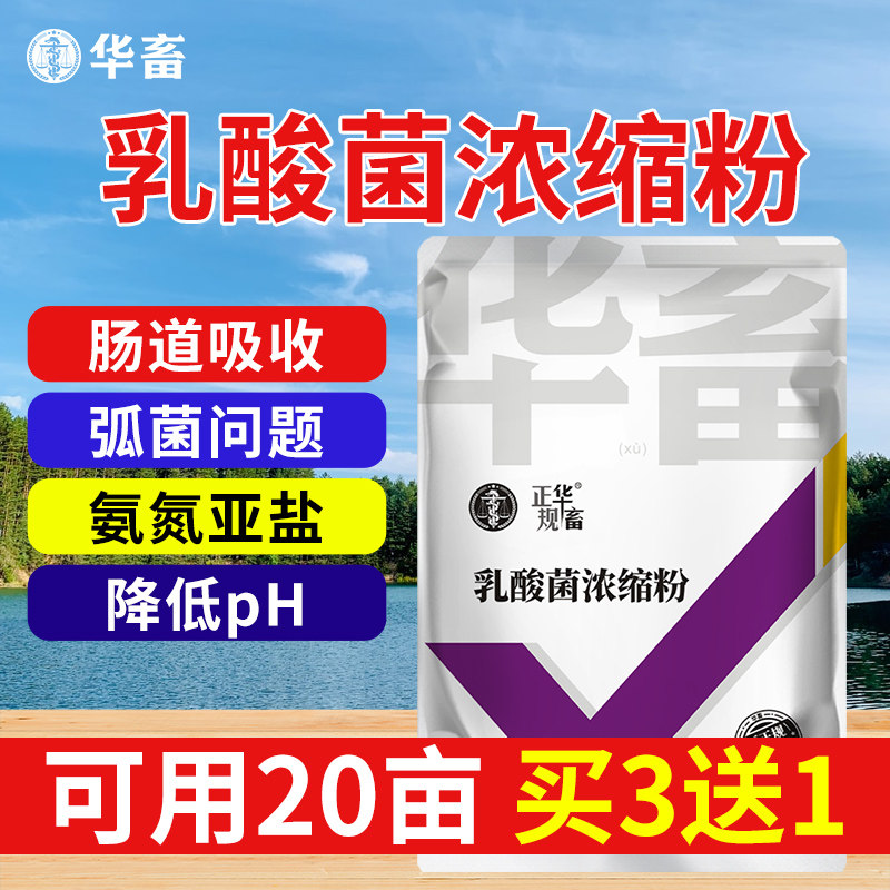 华畜乳酸菌浓缩粉发酵水产养殖专用复合芽孢杆菌有益生菌原种液