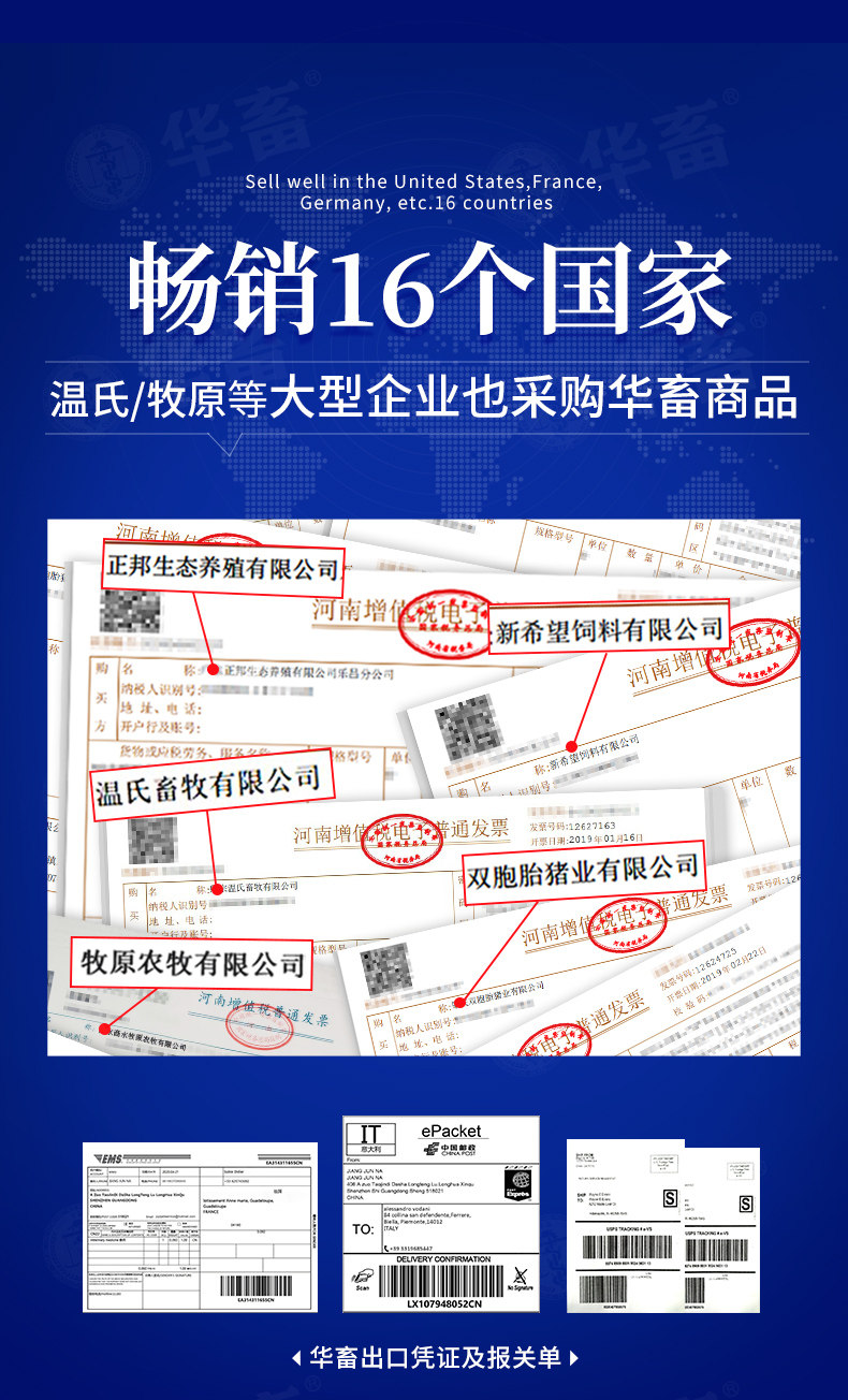 Hua ankuan Edition-Tiandao-Recovery _04.jpg