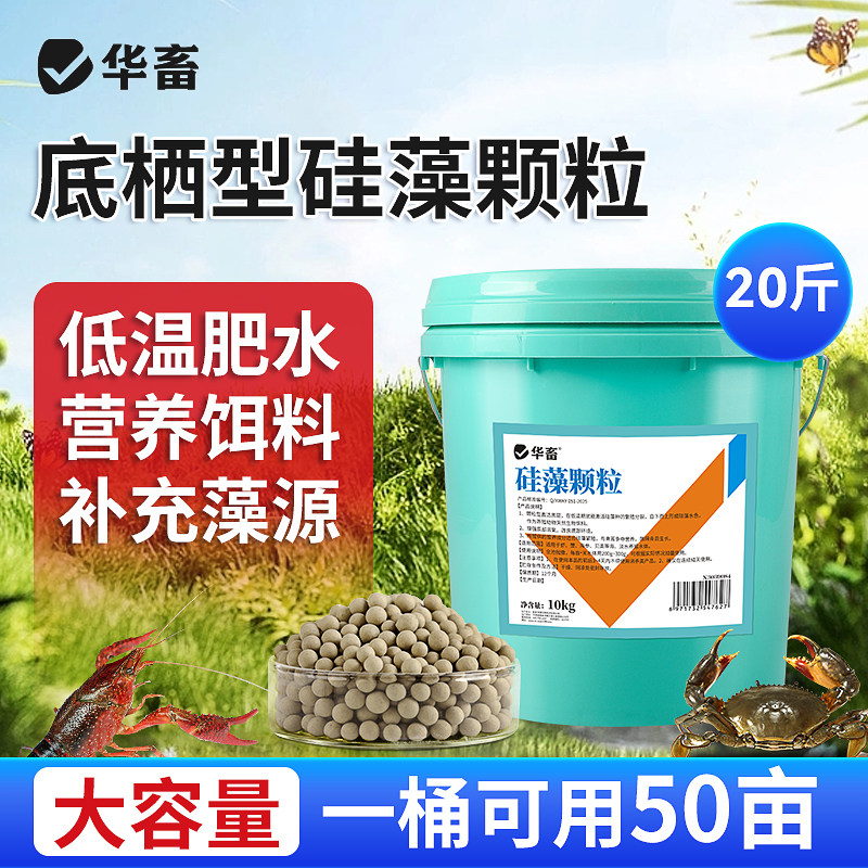 底栖硅藻颗粒水产养殖增氧培藻鱼塘虾蟹池塘用低温肥水藻种稳定剂
