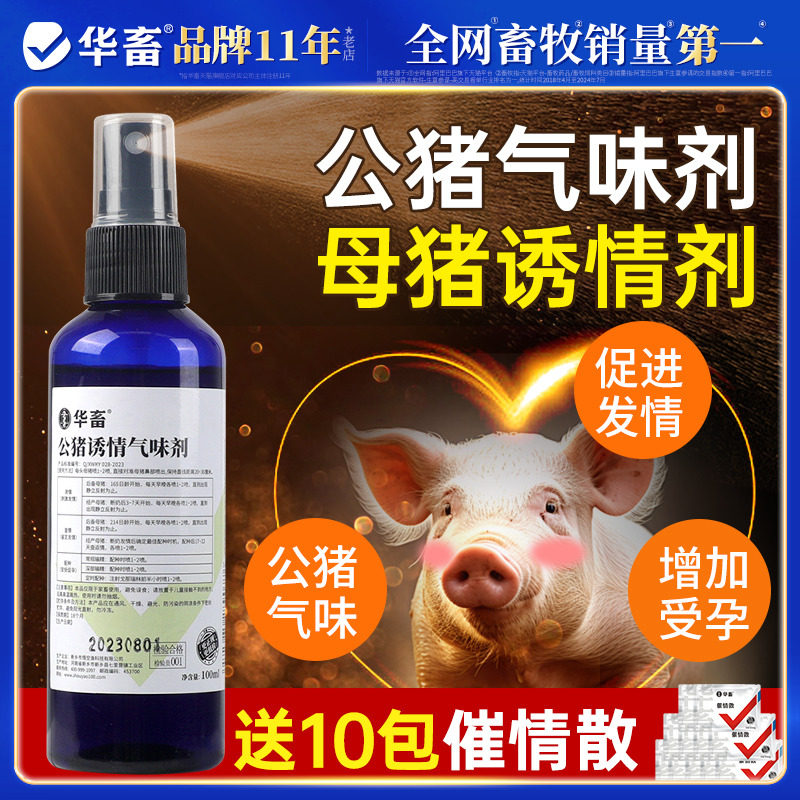 华畜公猪气味剂母猪用引诱发情喷剂配种气味济气雾剂液喷雾诱情记