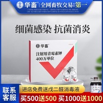 Chinese animal Penicillin for veterinary penicillin potassium penicillin for injection Penicillin for veterinary pig medicine Rabbit chicken medicine Poultry medicine Cattle and sheep medicine
