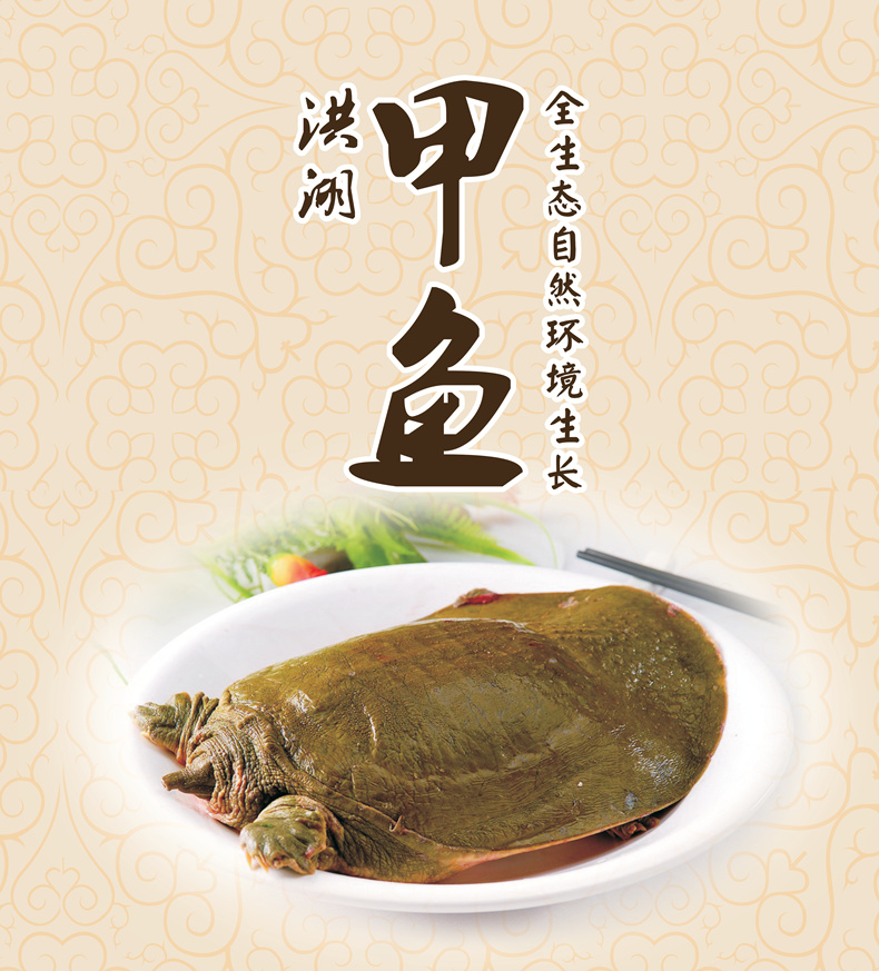 荷蟹 洪湖甲鱼 活体野养三年龄小团鱼 1~1.2斤 天猫优惠券折后¥88包邮(¥98-10) 荷蟹 洪湖甲鱼 活体野养三年龄小团鱼 1~1.2斤 天猫优惠券折后¥88包邮(¥98-10)