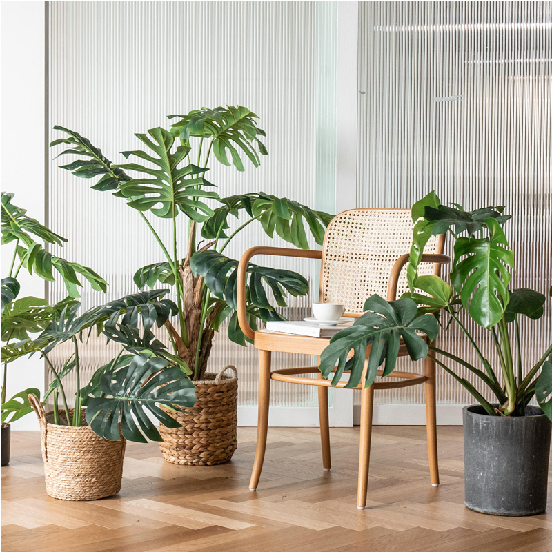 Southern Cross Star Simple Living Room Large Simulation Green Plant Potted Decoration Nordic Fake Plant Indoor Hawaiian Sunflower
