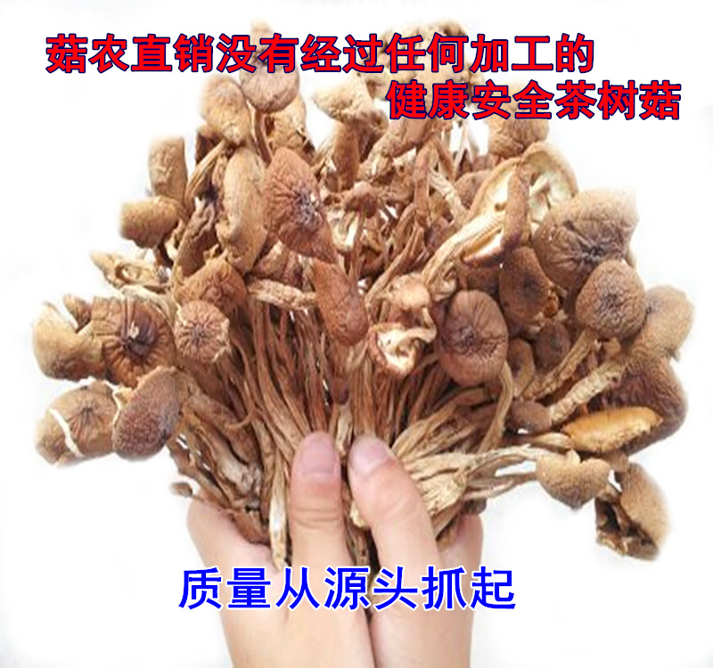 Jiangxi Guangchang Tuan Opened Umbrella Tea Tree Mushrooms Bulk Selection Fresh Tea Pay Mushrooms Farmers' Home Self-production Dry 500g
