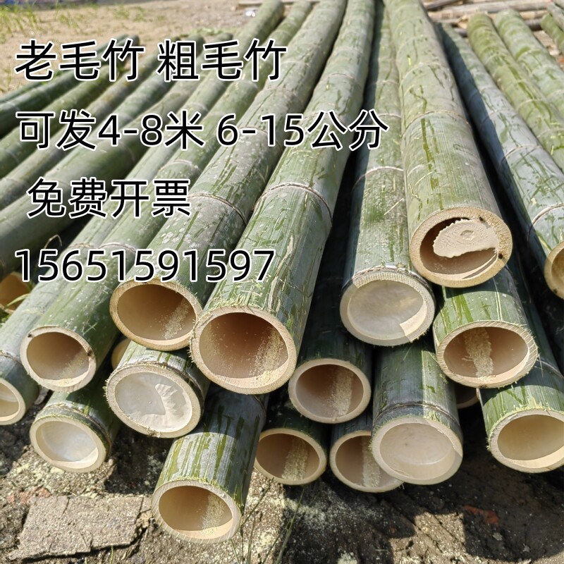 粗毛竹、长圆竹、楠竹、老毛竹,装修搭架造型的首选🌟-栅栏-淘宝好物网