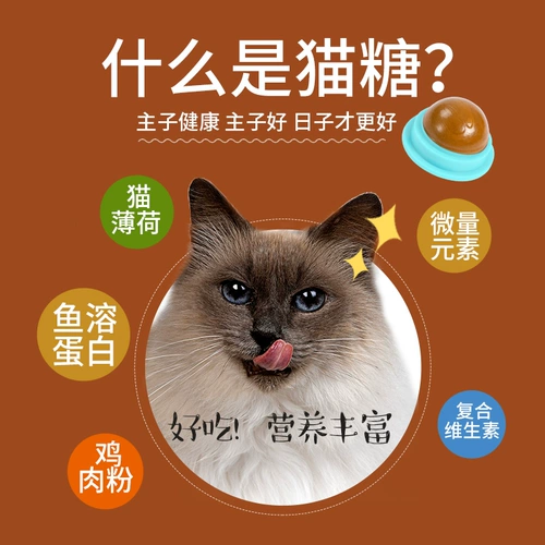 网牧 Кошачье сахар Douyin кот ледяной пат