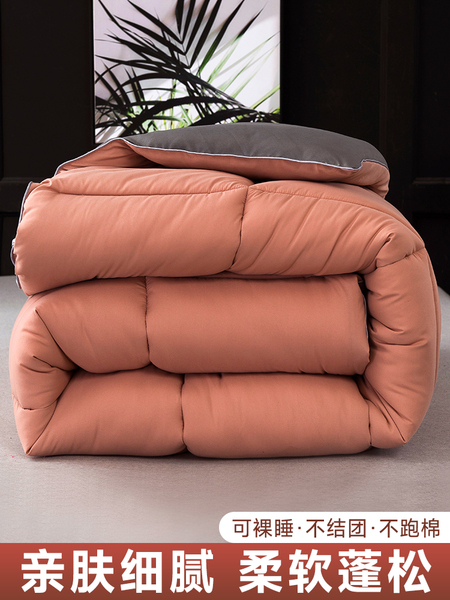 被子冬被加厚保暖春秋被冬季宿舍单人学生棉被芯冬天被褥太空调被