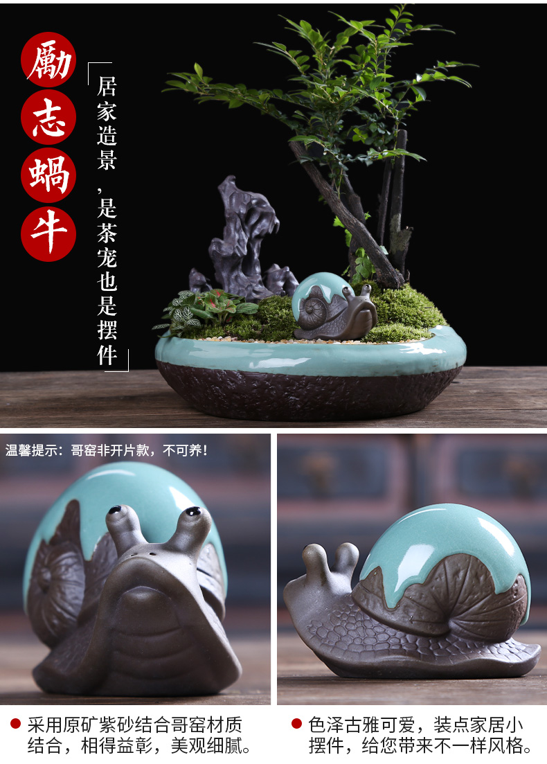 Auspicious industry pet boutique creative express little tea to keep violet arenaceous the mythical wild animal characters play pig tea tea art furnishing articles