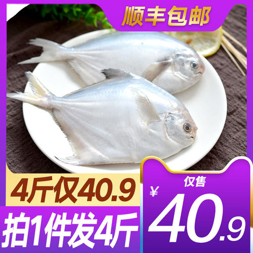 惠之园食品 东海野生海捕白鲳鱼500g*4件