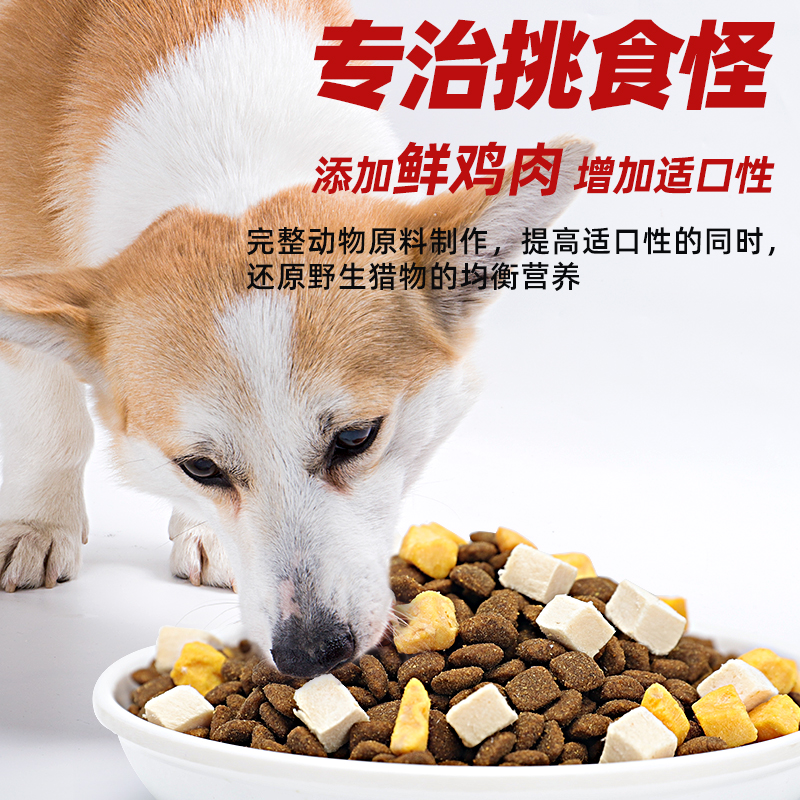 Member's Mark鲜肉全价犬粮10kg*1袋：山姆会员最爱的狗狗美食👑
