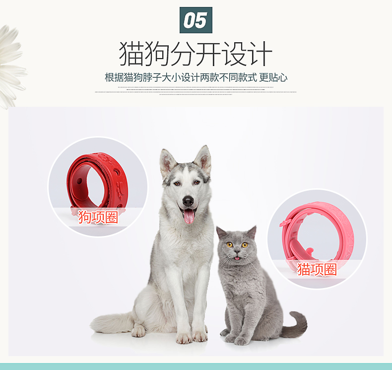 Chó tẩy giun, ngoài cổ bọ chét, mèo, vòng bọ chét, lái bọ cạp, mèo chống côn trùng, cổ áo chống côn trùng, vật nuôi - Cat / Dog hàng ngày Neccessities 	hộp đựng thức ăn cho chó	
