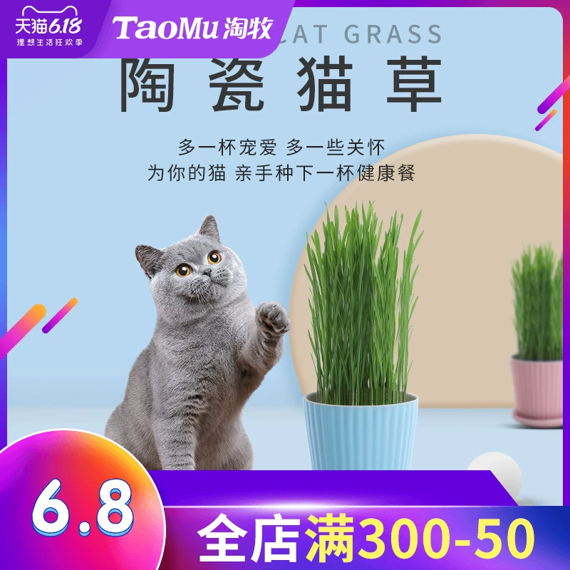 Mèo cỏ trồng trong chậu kit mèo cỏ hạt kem tóc để bóng tóc mèo bạc hà cỏ cỏ lúa mì hạt mèo ăn nhẹ - Đồ ăn nhẹ cho mèo