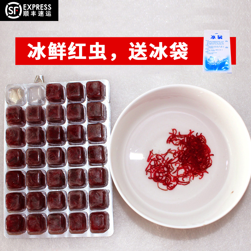 Frozen red worm frozen fish blood-eating worm frozen red worm red nematode brine shrimp thunder dragon fish Luohan fish feed 500g