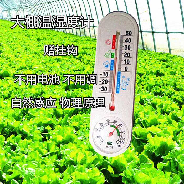 Precision greenhouse indoor special temperature and humidity meter Vegetable Planting Thermometer Hygrometer Breeding Thermometer temperature and humidity meter