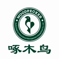 啄木鸟高端女鞋定制