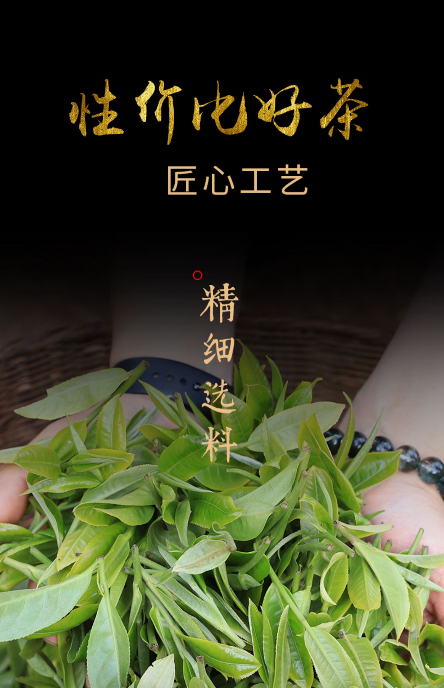 云南普洱茶熟茶勐海十年陈香