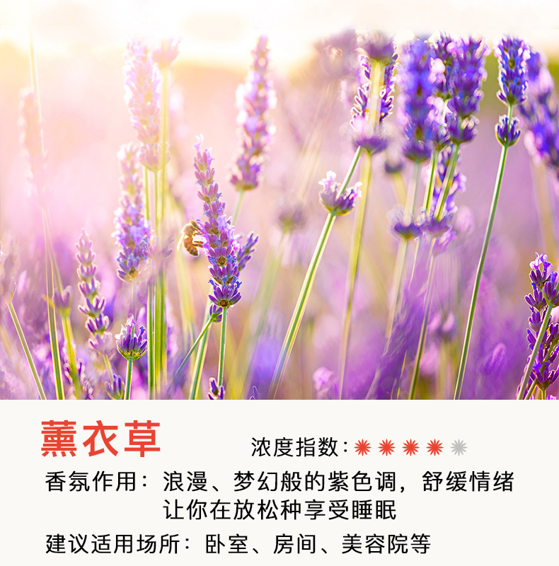 nước lau sàn sunlight 3.8 kg 3 chai không khí làm mát phòng tắm nước hoa phòng ngủ hương thơm kéo dài trong nhà khử mùi trong nhà vệ sinh khử mùi hương liệu - Trang chủ dung dịch tẩy dầu mỡ nhà bếp