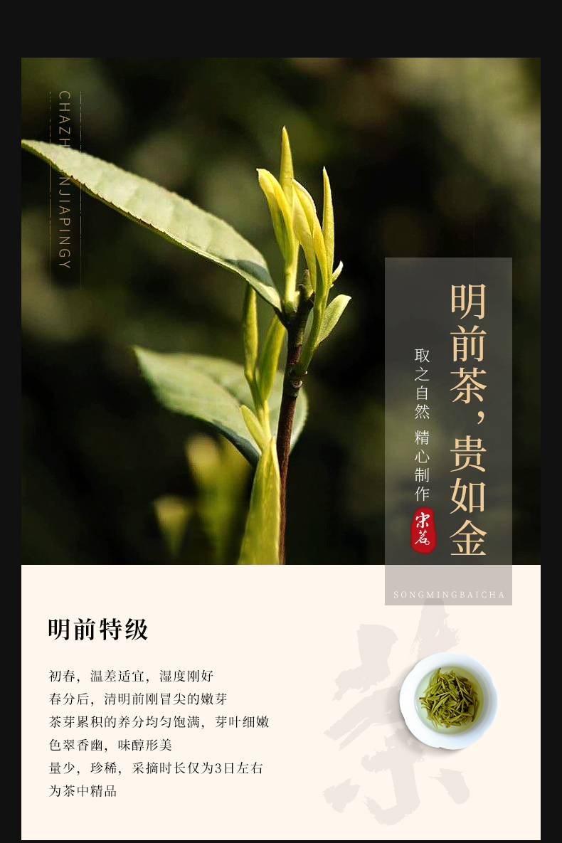 宋茗2021年新茶安吉白茶100g