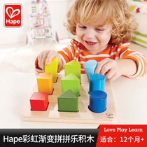 Hape Geometric Puzzle Shape Matching Wooden Blocks Color Cognition 1-2 Years Baby Early Learning Toy