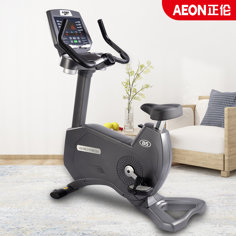 AEON Zhenglun Original Imported 85U Vertical Fitness Car Silent Commercial Magnetic Control Car Indoor Fitness Equipment