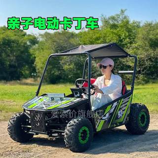1000wnika electric off-road kart