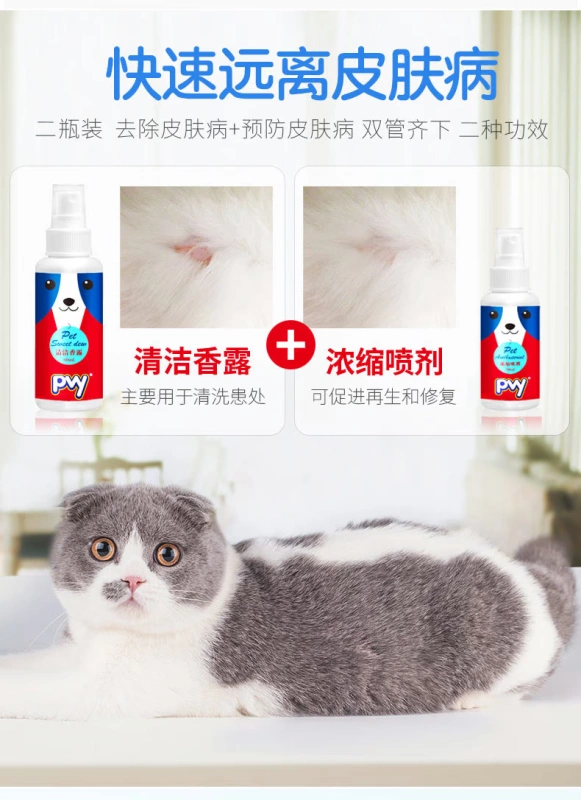 Pet Dermatology Viêm da Eczema Antifungal Golden Retriever Teddy Dog và Cat Mite Repellent Cat Moss Antipruritic Spray - Cat / Dog Medical Supplies