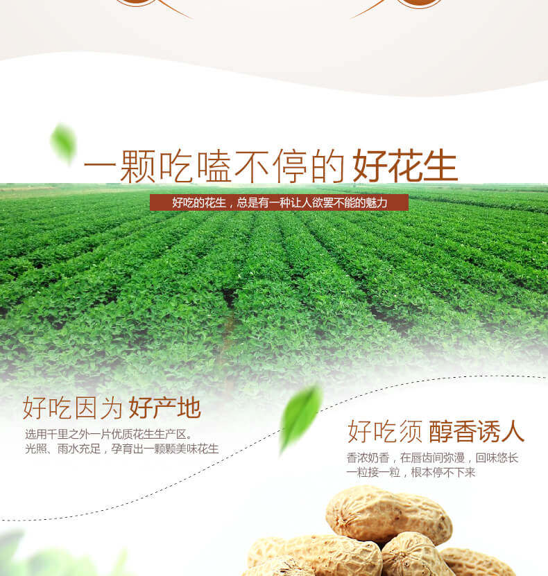哈蜜  带壳红皮蒜香花生 500g*2件 图3