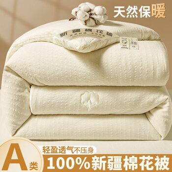 Xinjiang Cotton Quilt, Winter Quilt, Thickened Warm Cotton Quilt Core, 5kg Single/Double Spring and Autumn Quilt, Suitable for All Seasons