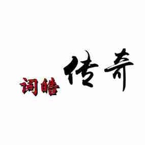 词皓传奇男装企业店