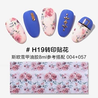 H19