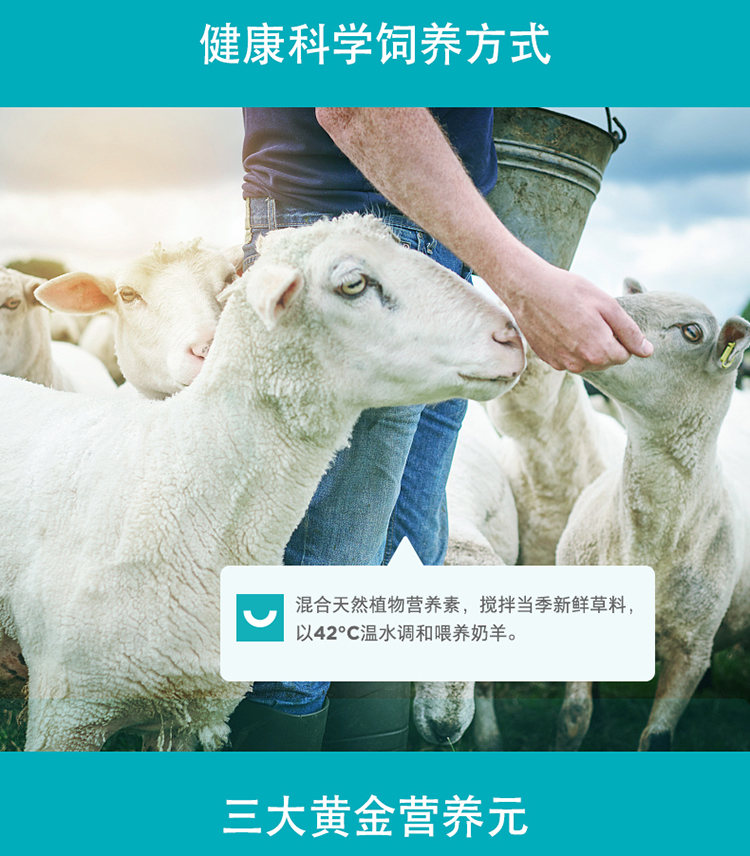 Wei Shi sữa bột sữa chó sữa bột chó con sữa bột sữa mèo sữa sơ sinh nói chung gấu bông vàng dinh dưỡng - Cat / Dog Health bổ sung 	sữa cho chó tốt