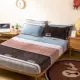 Giường flannel màu tím bed Giường nhung vàng 250 g 笠 đơn chiếc Giường mùa đông nhung dày ấm 笠 Ga chun chần Everon