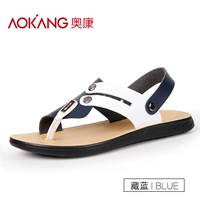 Тибетский синий/человек перетаскивает