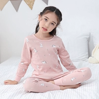 20718af All Cotton Model