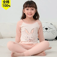 21709 целая модель хлопка