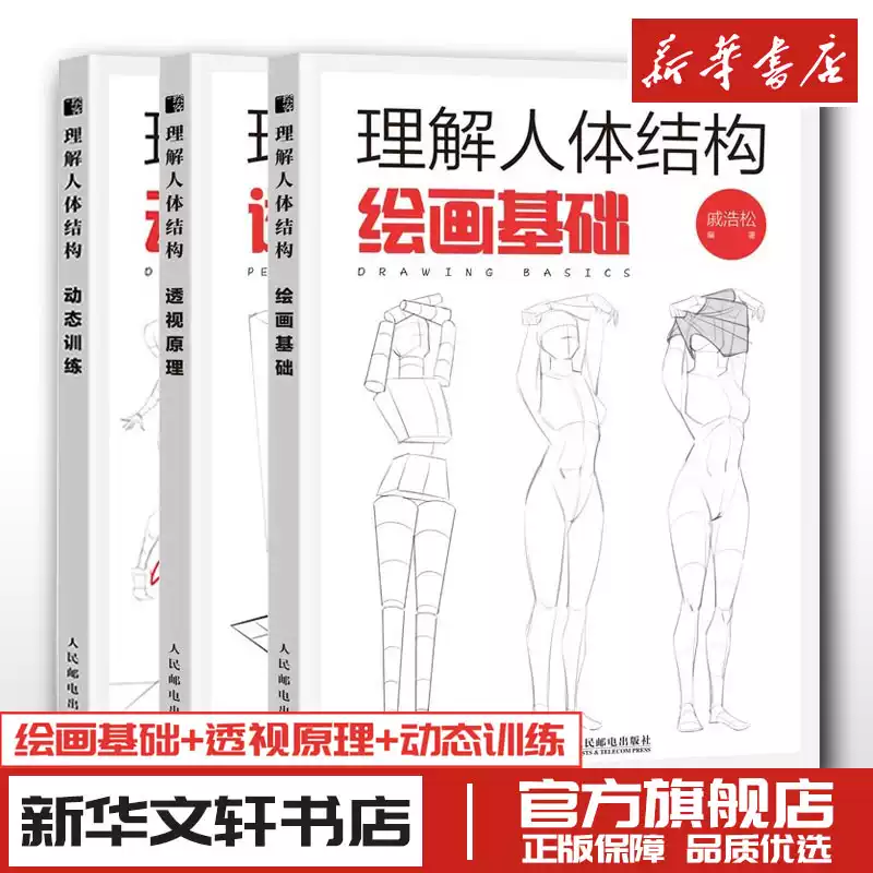 人体结构与动态塑造艺术家课堂汤姆福克斯游戏动漫艺用人体结构原理绘画